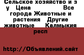 Сельское хозяйство и з/у › Цена ­ 2 500 000 - Все города Животные и растения » Другие животные   . Калмыкия респ.